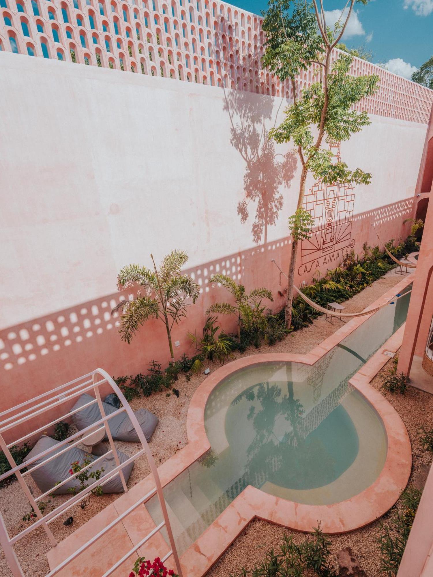 Casa Amate 61 Boutique Hostel Mérida Buitenkant foto